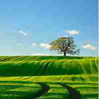 专‍业​数‌据﻿库​优﻿化​平‌台​